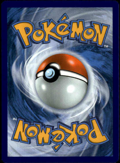Squirtle #33/214 (NM, Premium Collection Promo)